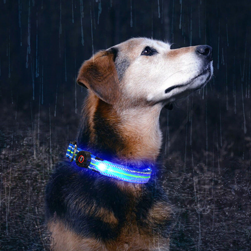 LED Dog Collar