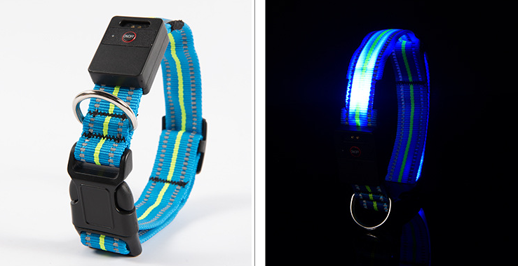 LED Dog Collar