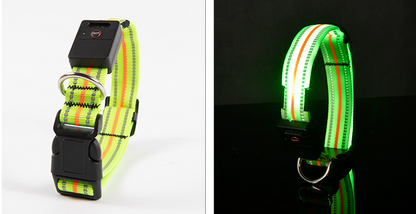 LED Dog Collar