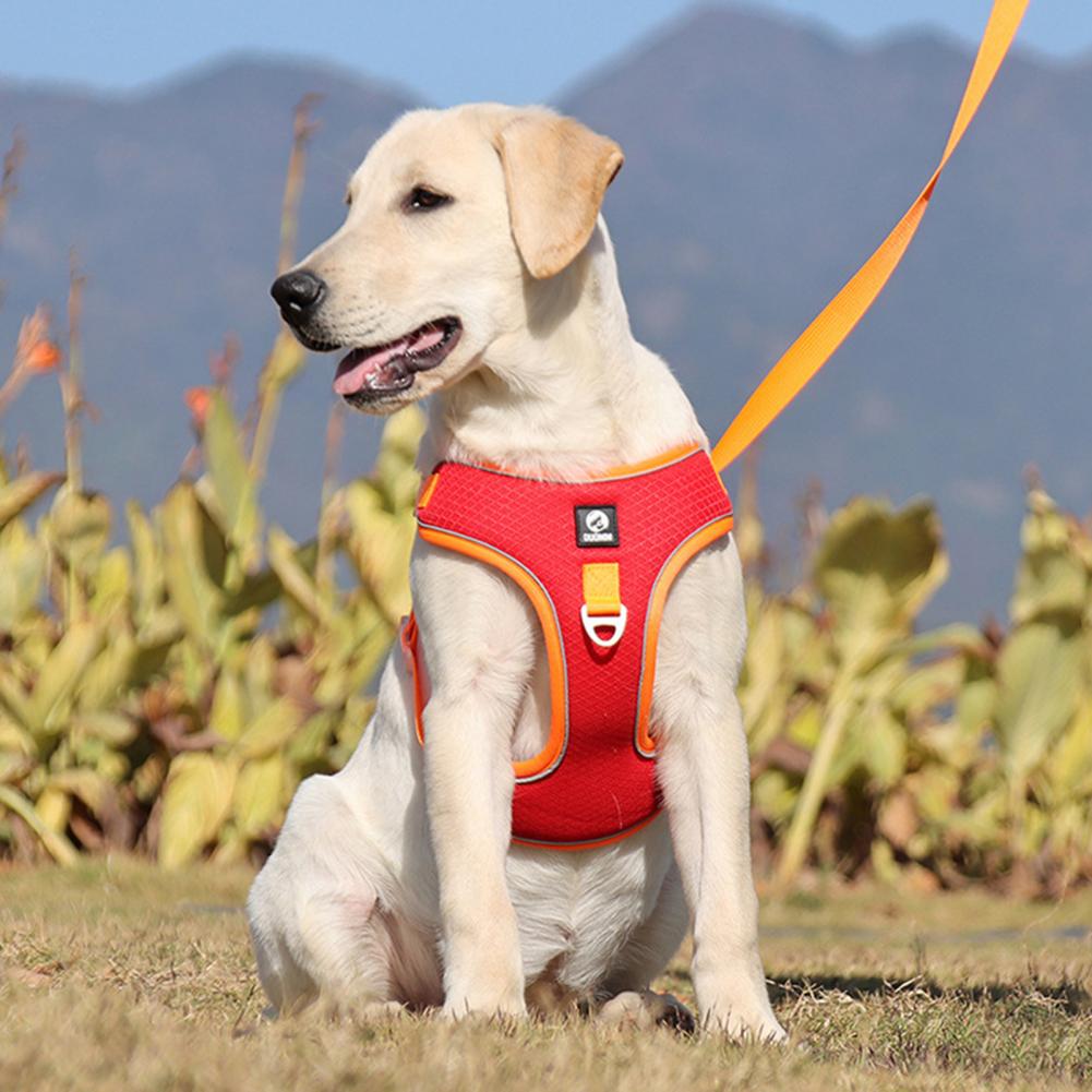 Breathable Mesh Dog Harness