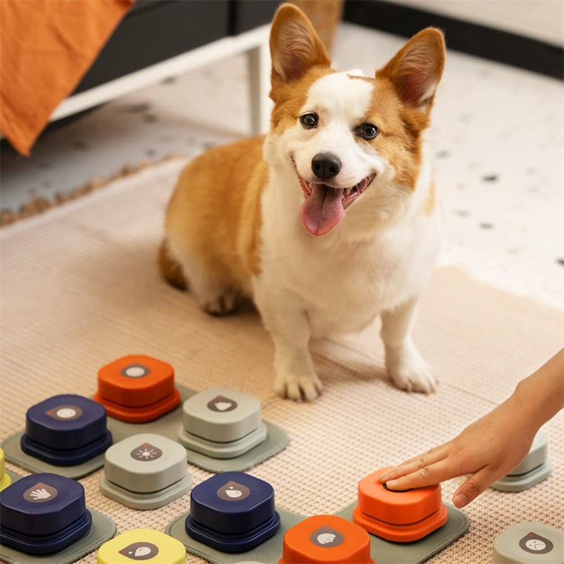 Interactive Pet Communication Button Set