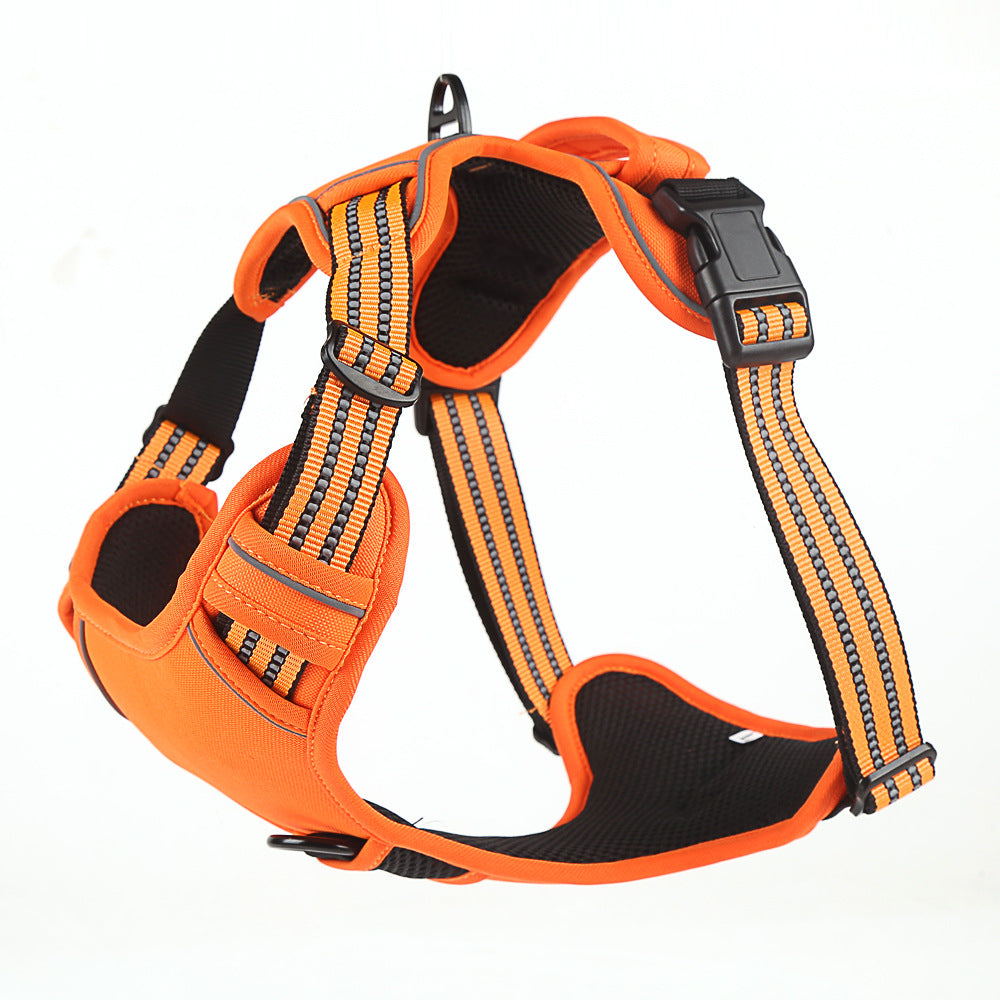 Durable Harness With Grab Handle