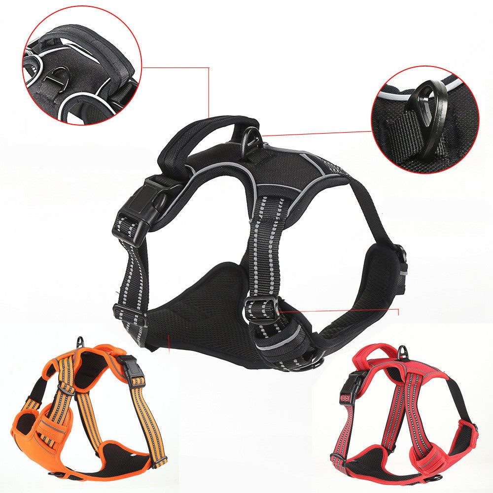 Durable Harness With Grab Handle