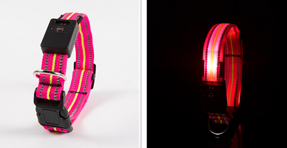 LED Dog Collar