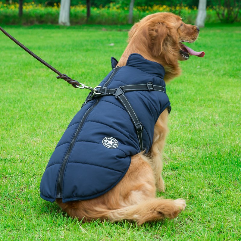 All-In-1 waterproof Coat &amp; Harness