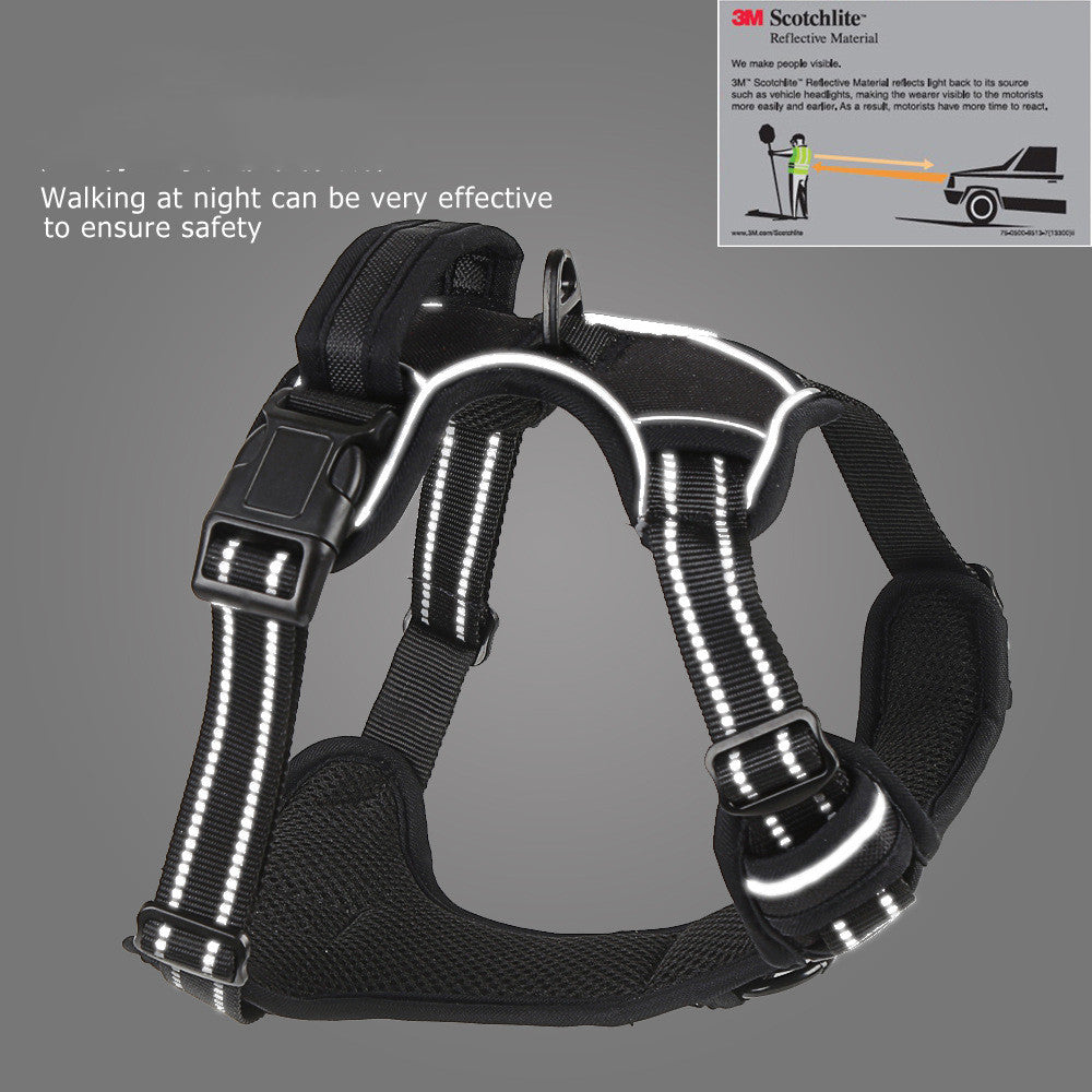 Durable Harness With Grab Handle