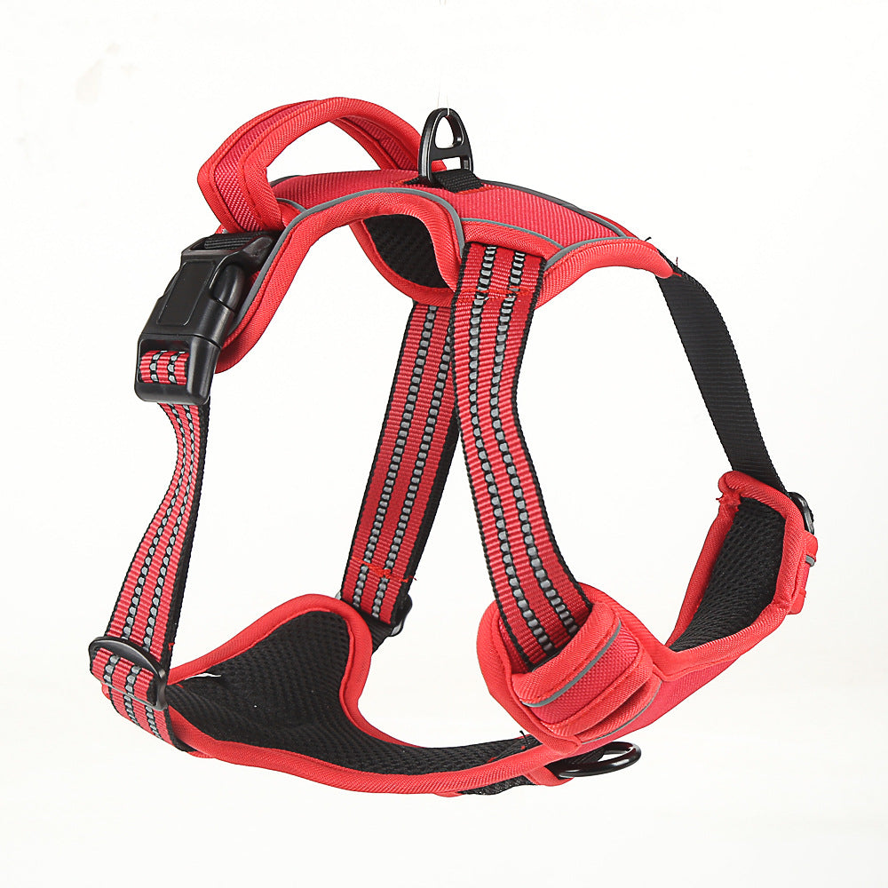 Durable Harness With Grab Handle