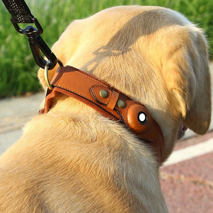 Apple Air Tag Collar