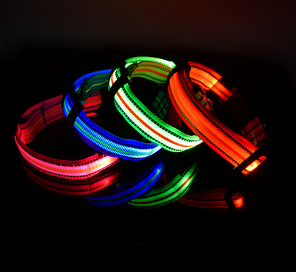 LED Dog Collar