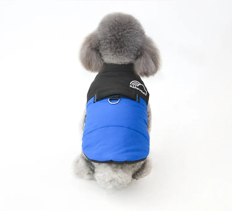 Lightweight Coat For Small Dogs