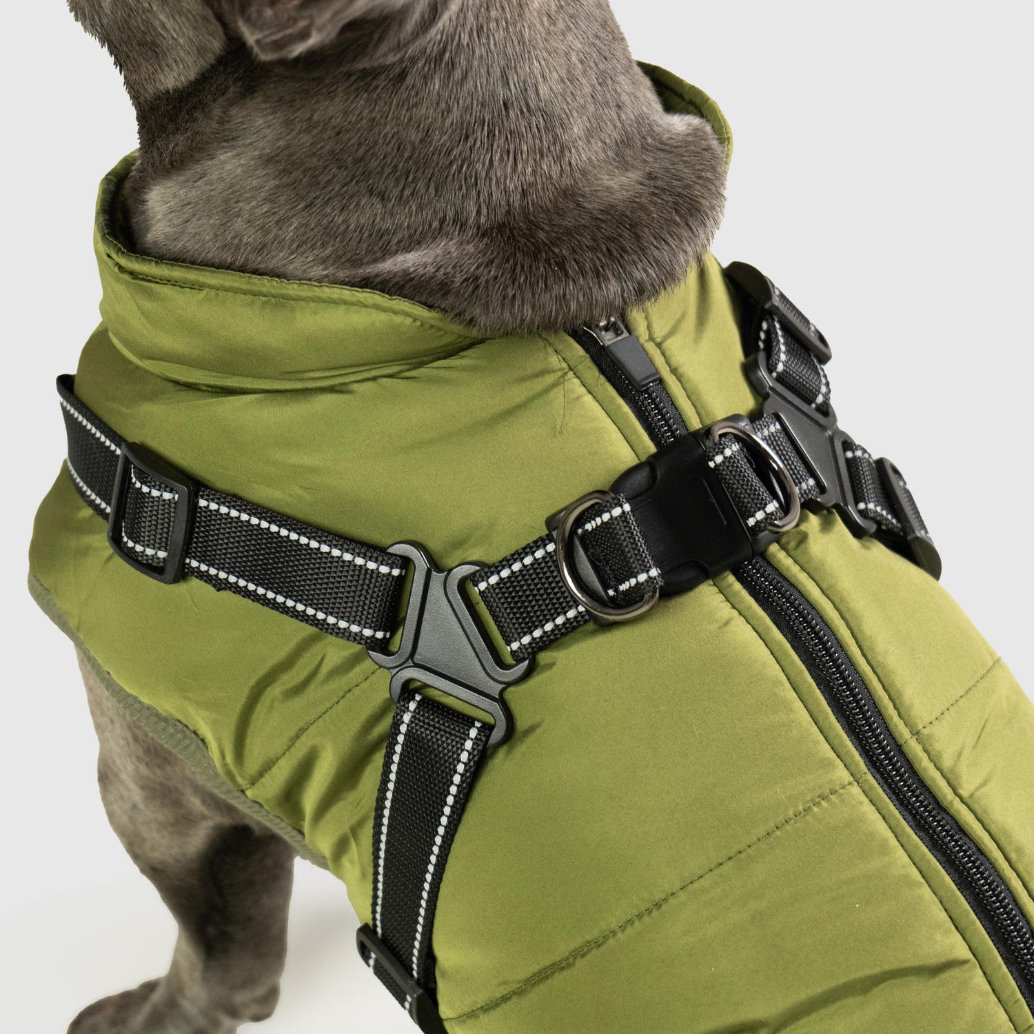 All-In-1 waterproof Coat &amp; Harness