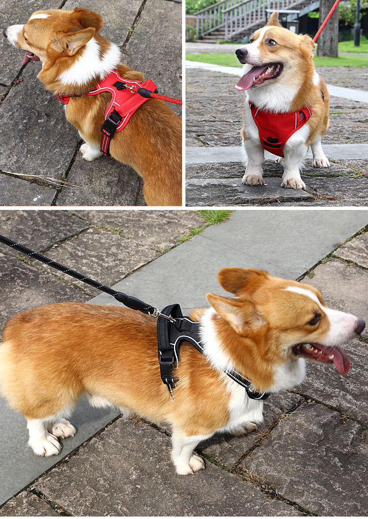 Durable Harness With Grab Handle