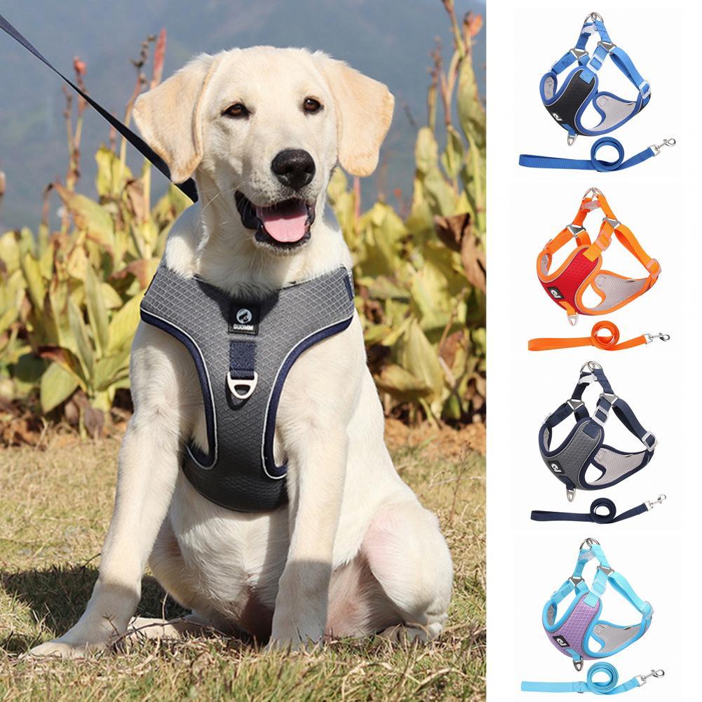 Breathable Mesh Dog Harness