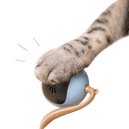 Smart Cat Toy