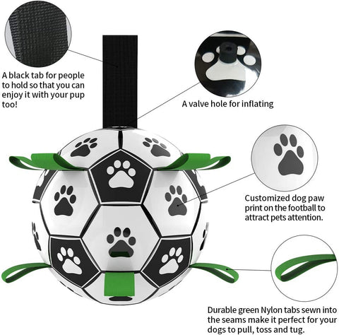 Dog Football Toy