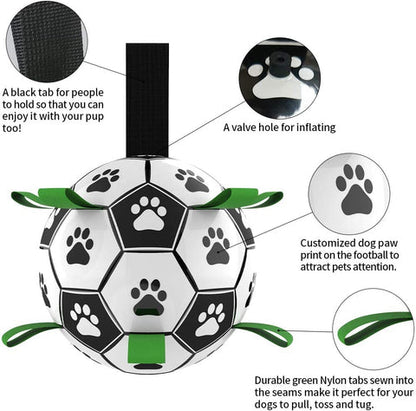 Dog Football Toy